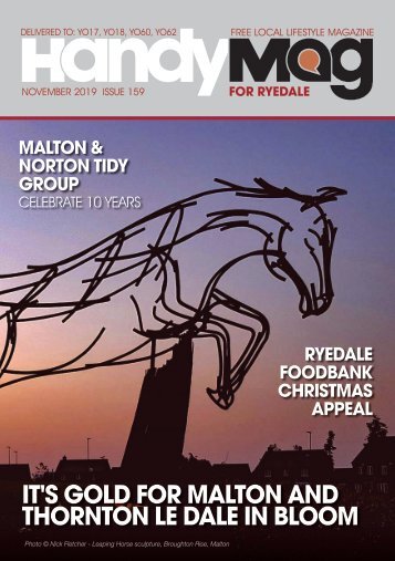 Handy Mag Ryedale Nov19