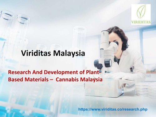 Cannabis Malaysia - Viriditas Malaysia 