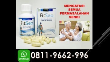 JUAL FITSEA di Kota Jambi !!! CALL/WA 0811-9662-996, Obat Herbal Nyeri Sendi 