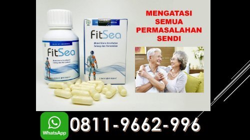 JUAL FITSEA di Kota Jambi !!! CALL/WA 0811-9662-996, Obat Herbal Nyeri Sendi 