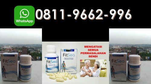 JUAL FITSEA di Kota Jambi !!! CALL/WA 0811-9662-996, Obat Herbal Nyeri Sendi 