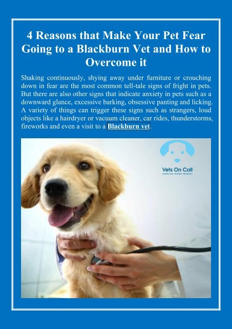 4 Reasons that Make Your Pet Fear Going to a Blackburn Vet and How to Overcome it