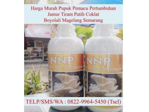 PILIHAN TERBAIK! TELP/SMS/WA : 0822-9964-5450 (Tsel), Agen Produk Nutrisi Natural Jamur Tiram Putih Coklat Boyolali Magelang Semarang