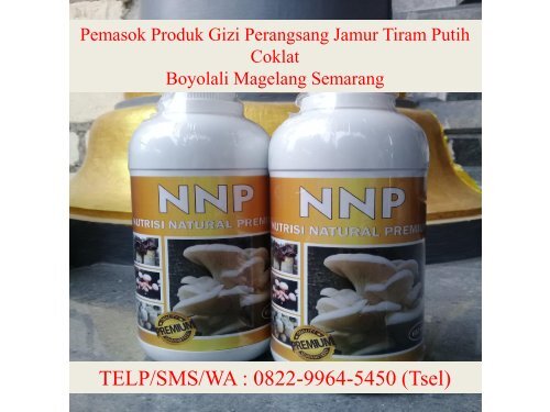 PILIHAN TERBAIK! TELP/SMS/WA : 0822-9964-5450 (Tsel), Agen Produk Nutrisi Natural Jamur Tiram Putih Coklat Boyolali Magelang Semarang