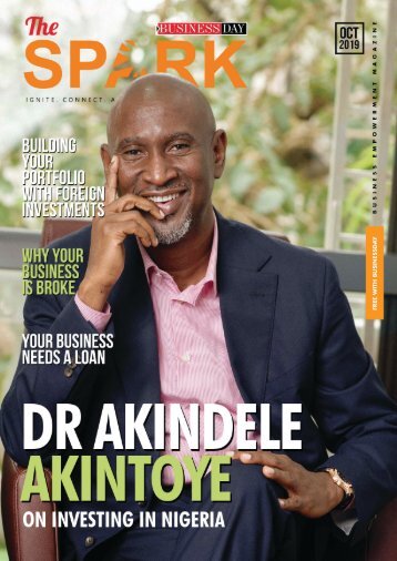 Dr Akindele Akintoye On Investing In Nigeria