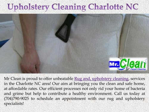 Rug and Upholstery Cleaning Services Charlotte 