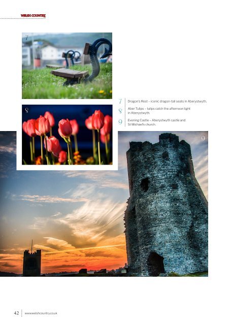 Welsh Country - Issue88 - May - Jun 19