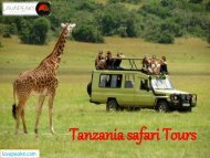 Tanzania safari Tours