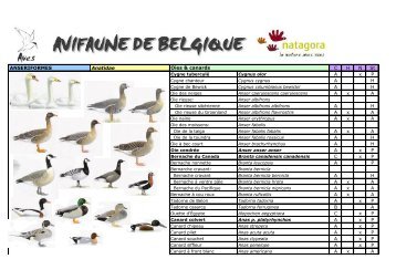 Avifaune de Belgique 2018