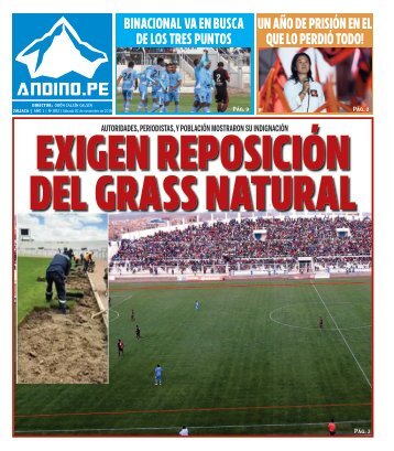 DIARIO ANDINO.PE 02-11-19