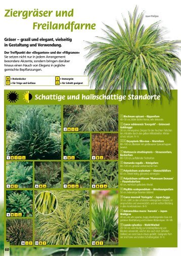 Schattige und halbschattige Standorte