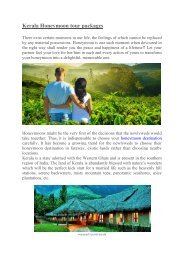 Kerala Honeymoon tour packages