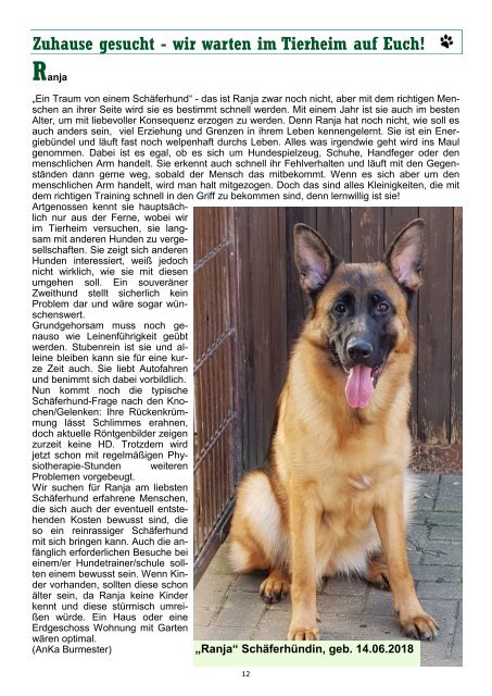 Pfoten-News Ausgabe 21(Dezember 2019)