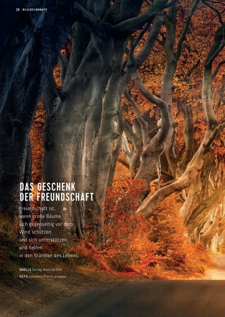 SchlossMagazin November 2019 Bayerisch-Schwaben und Fünfseenland