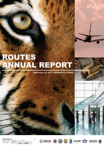 ROUTES Annual Report 2019