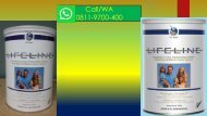 PENDAFTARAN DISTRIBUTOR, CALL/WA 0811-9700-400, Susu Dynamic Colostrum LIFELINE Bekasi