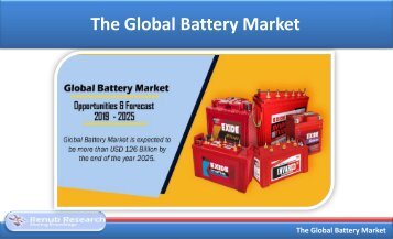 The Global Battery Market