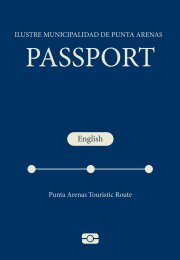 Pasaporte 2019 ING