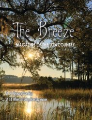 The Breeze - NOVEMBER 2019 