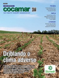 Jornal Cocamar Novembro 2019
