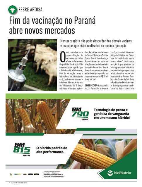 Jornal Cocamar Novembro 2019