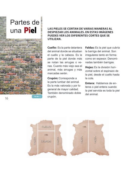GUIA DEL CUERO 2019