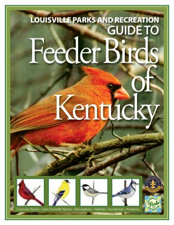 Feeder Birds of Kentucky Guide