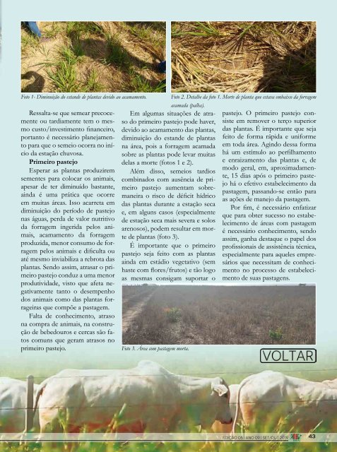 REVISTA MB RURAL ED. 43 - 2019