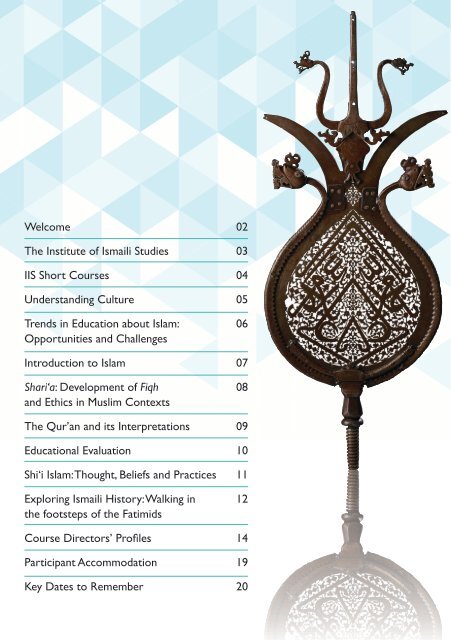 IIS Short Course Catalogue 2020 