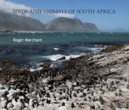 Birds and Animals of South Africa