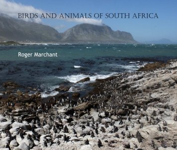 Birds and Animals of South Africa