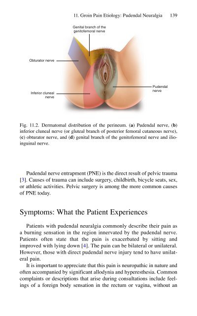 Brian P. Jacob, David C. Chen, Bruce Ramshaw, Shirin Towfigh (eds.) - The SAGES Manual of Groin Pain-Springer International Publishing (2016)