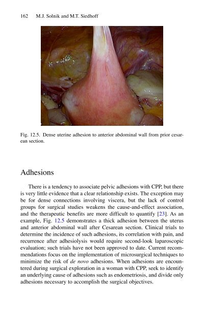 Brian P. Jacob, David C. Chen, Bruce Ramshaw, Shirin Towfigh (eds.) - The SAGES Manual of Groin Pain-Springer International Publishing (2016)