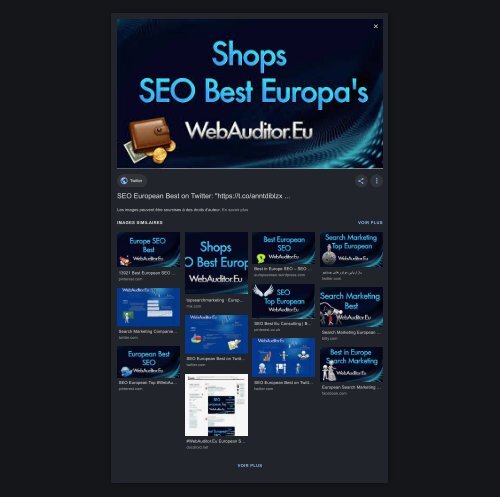 Marketing European Top #WebAuditor.Eu for Europe Branding Top Advertising Best Europe