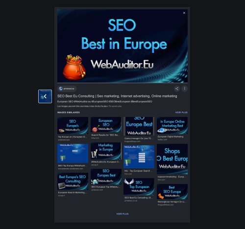 Marketing European Top #WebAuditor.Eu for Europe Branding Top Advertising Best Europe