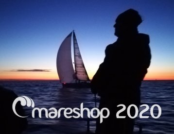 Mareshop 2020 Wall Calendar