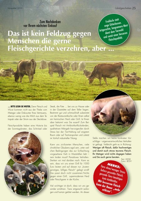 Pluspunkte-Magazin Noevmber 2019