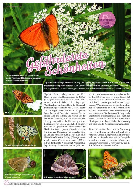 NATURSCHUTZBRIEF 238 Ansicht 06.08