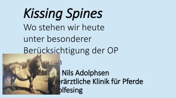Kissing spines - Adolphsen
