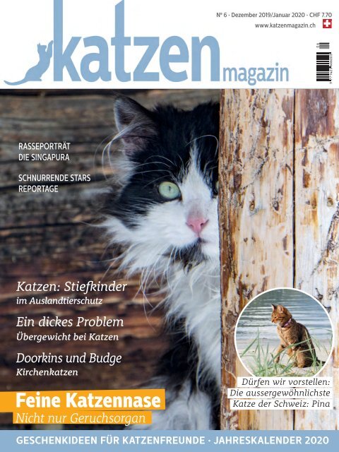 Katzen Magazin 6/19