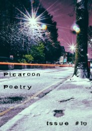 Picaroon Poetry - Issue #19 - November 2019