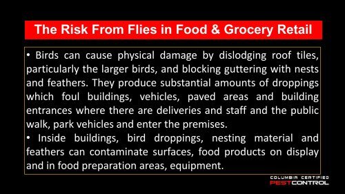 Pest Control Lexington SC Tips for Supermarkets and Grocery Stores
