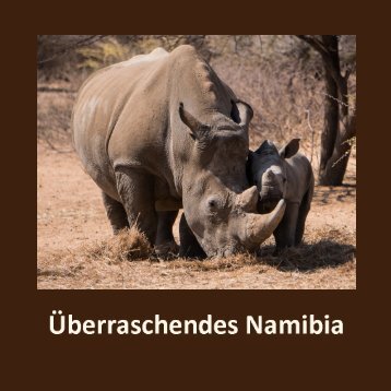 Namibia-2019 