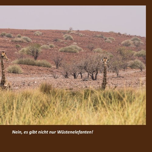 Namibia-2019 