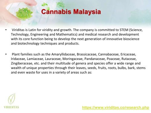Cannabis Malaysia  - Viriditas Malaysia