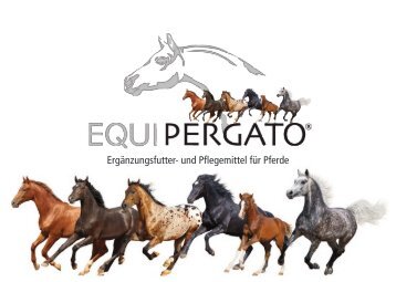 Pferd_EquipergatoA5quer2019_V4