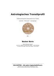 Astrologisches Transitprofil