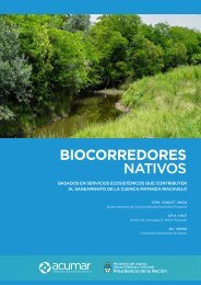 Biocorredores Nativos