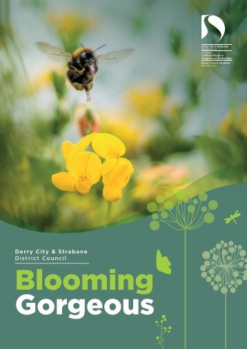 Blooming Gorgeous 