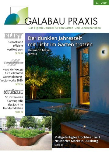 GALABAU PRAXIS  11 2019